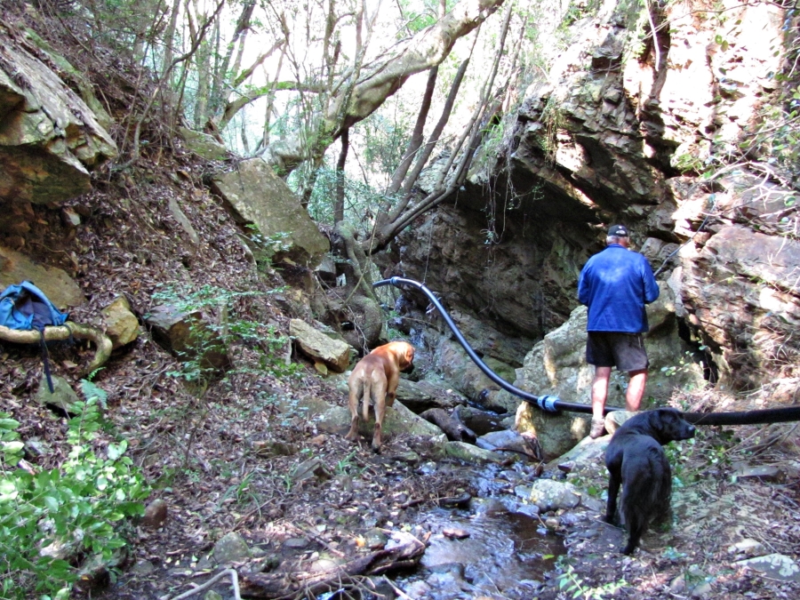 3 Bedroom Property for Sale in Joubertina Eastern Cape